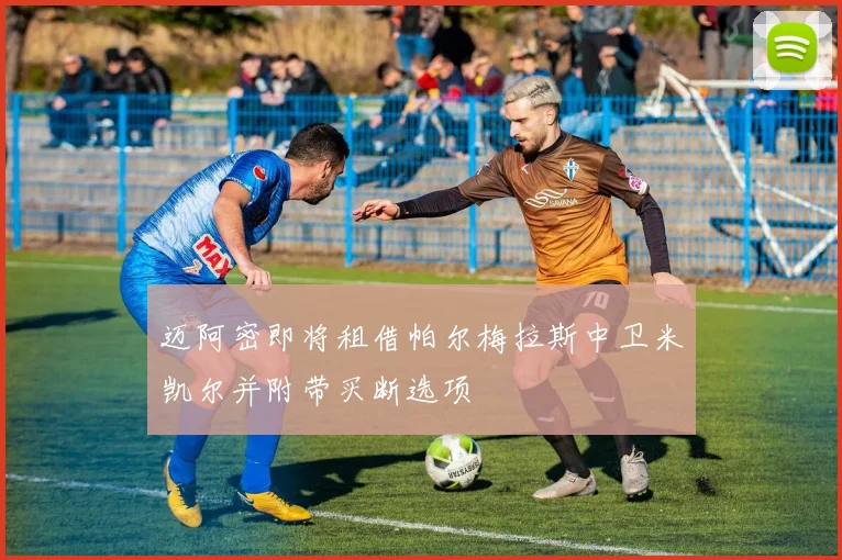 迈阿密即将租借帕尔梅拉斯中卫米凯尔并附带买断选项